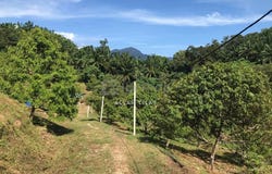 Hulu Perak, Perak