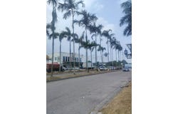 Skudai, Johor 81100