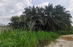 Jalan Keretapi Lama, Kuala Selangor, Selangor 45800