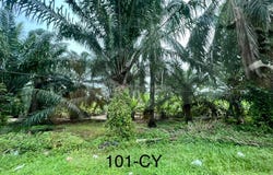 Telok Panglima Garang, Selangor 42500