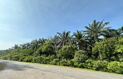 Sungai Petani, Kedah 8000