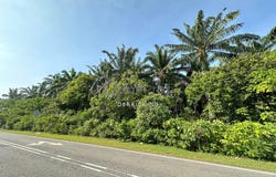 Sungai Petani, Kedah 8000