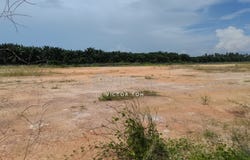 Banting, Selangor 42700