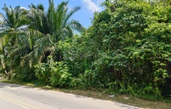 Klang, Selangor 42100