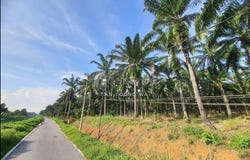 Off Road 820, 43900 Sepang, Selangor, Sepang, Selangor 43900