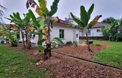 Petaling Jaya, Selangor 46000