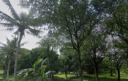 Sungai Buloh, Selangor