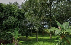 Sungai Buloh, Selangor