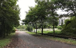 Jalan Putra Harmoni 1/1, Putra Heights, Subang Jaya, Selangor 47100