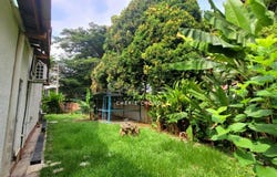 Jalan Canning Estate, Ipoh, Perak 31400
