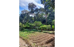 Hulu Langat, Selangor 43100