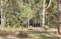 Batang Kali, Selangor