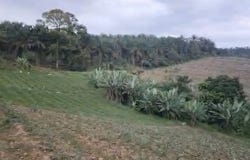 Kulai, Johor 81000