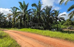 Kuala Kangsar, Perak 31100