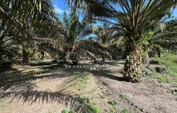 Kampung Keluarga Bahagia, Kluang, Johor 86200