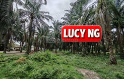 Kulim, Kedah 9400