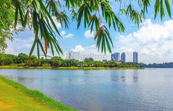 Jalan Sri Tasik Timur, Cyberjaya, Selangor 64000