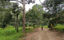 Jelebu, Negeri Sembilan 71600