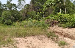 Balakong, Selangor 43200