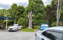 Jalan LEP 5/1, Seri Kembangan, Selangor 43300