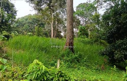 Jelebu, Negeri Sembilan 71600