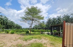 Kuala Selangor, Selangor 45600