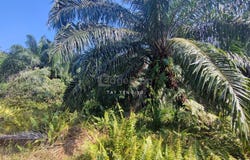 T, Telok Panglima Garang, Selangor 42500