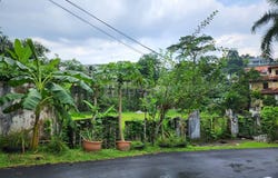 Jalan Bukit Tunku, Kenny Hills (Bukit Tunku), Kuala Lumpur 50480
