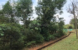 Jalan Melor, Jalan Inai, Rawang, Selangor 48000
