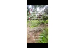 Banting, Selangor 42700