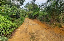 Shah Alam, Selangor