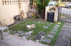 Jalan Bukit Hijau; Jalan Asahan, Shah Alam, Selangor 40400