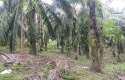 Parit, Perak 32800