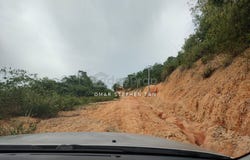 Ipoh, Perak