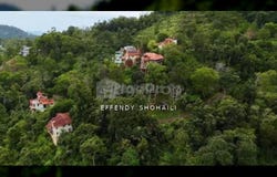 Bukit Tinggi, Bentong, Pahang 28750