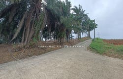Lorong Setia 3 , Kuala Selangor, Selangor 45600