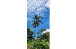 Semenyih, Selangor