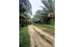 Kota Tinggi, Johor 81900