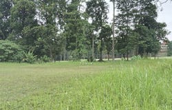 Jalan PJU 3/12, Tropicana, Selangor 47410