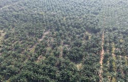 11 Acres Freehold Zone Industry Land Jeram Kapar,Kapar,Selangor, Klang, Selangor 42200