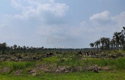 Jalan SILC, Gelang Patah, Johor 81550