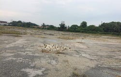 Kawasan Perindustrian Bandar Sultan Suleiman 42000 Port Klang Selangor, Port Klang, Selangor 42000
