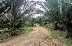 Kota Tinggi, Johor 81900