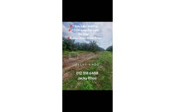 Banting, Selangor 42700