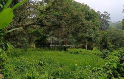 Jelebu, Negeri Sembilan 71600