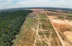 Tanjung Langsat, Pasir Gudang, Johor, Pasir Gudang, Johor 81700