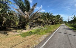 Kampung Keluarga Bahagia, Kluang, Johor 86200