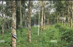 Kundang, Rawang, Selangor 48020