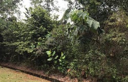 Jalan Melor, Jalan Inai, Rawang, Selangor 48000