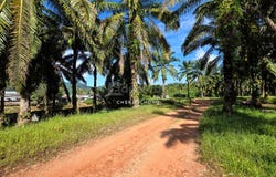 Kuala Kangsar, Perak 31100